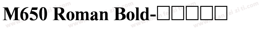 M650 Roman Bold字体转换